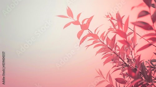 Wallpaper Mural Darkling Willow, border, pastel color background Wallpaper, blank in the middle, minimalism, negative space Torontodigital.ca