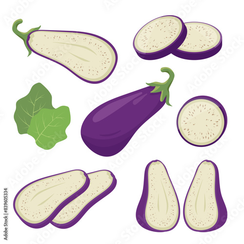 Set of whole and cut Eggplant vegetables and slices. Farm eggplant plant icons. Organic garden vegetarian food. Vector illustration isolated on white background.
