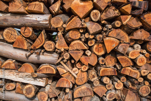 Lenha cortada para forno à lenha