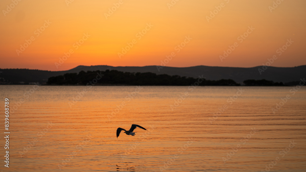 Fototapeta premium Sunset view of sea and mountain silhouettes on horizon, orange sky and flying bird over water in Telascica National Park, Croatia
