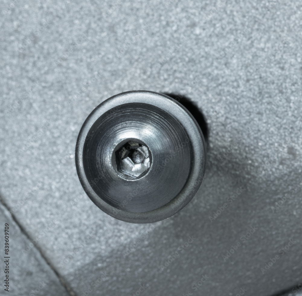 Bolt and washer going into a shotgun's receiver Bolt and washer going into a shotgun's receiver
