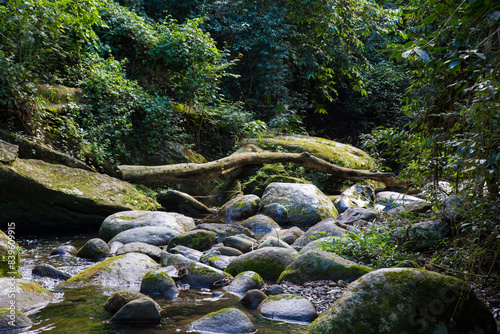 Pedras no rio dentro da floresta