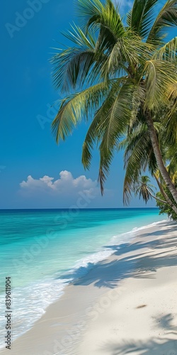 A tranquil shore paradise  with palm trees swaying by the turquoise sea under the sunny sky.