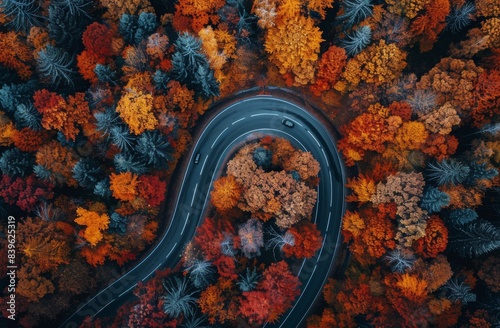 Aerial View of a Winding Road Through a Forest With Autumn Foliage