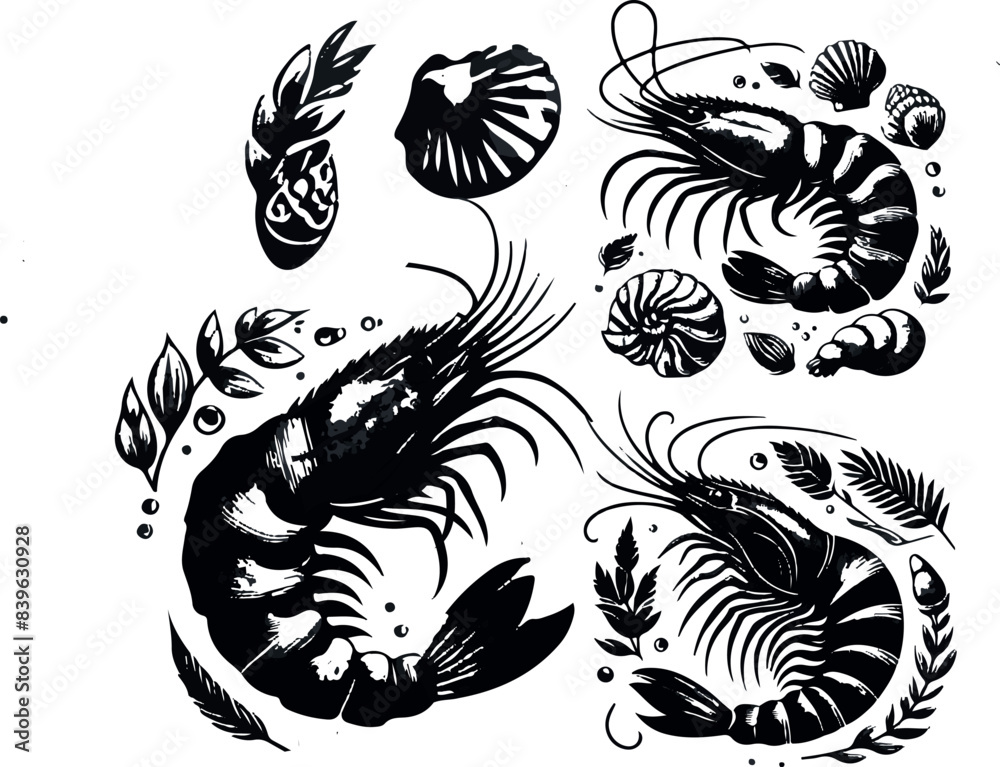 Vector illustration of a shrimp, a member of the Caridea order, depicted in a scratchboard style. This hand-drawn image captures the intricate details of the shrimp's anatomy Vector illustration of a shrimp, a member of the Caridea order, depicted in a scratchboard style. This hand-drawn image captures the intricate details of the shrimp's anatomy