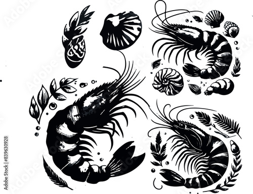 Vector illustration of a shrimp, a member of the Caridea order, depicted in a scratchboard style. This hand-drawn image captures the intricate details of the shrimp's anatomy