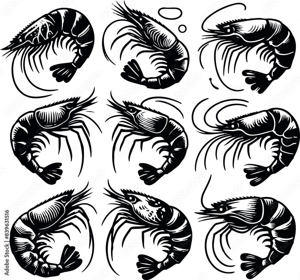 Obraz premium Vector illustration of a shrimp, a member of the Caridea order, depicted in a scratchboard style. This hand-drawn image captures the intricate details of the shrimp's anatomy