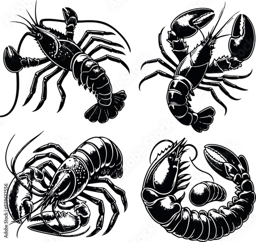 Vector illustration of a shrimp, a member of the Caridea order, depicted in a scratchboard style. This hand-drawn image captures the intricate details of the shrimp's anatomy