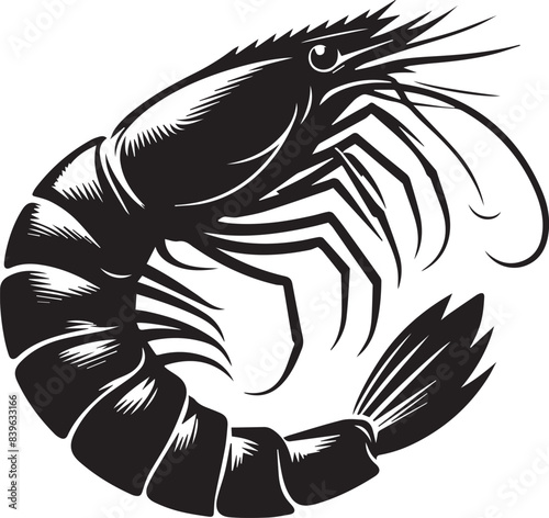Vector illustration of a shrimp, a member of the Caridea order, depicted in a scratchboard style. This hand-drawn image captures the intricate details of the shrimp's anatomy