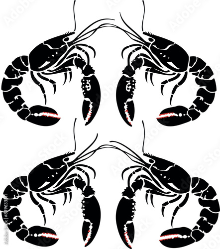 Vector illustration of a shrimp, a member of the Caridea order, depicted in a scratchboard style. This hand-drawn image captures the intricate details of the shrimp's anatomy