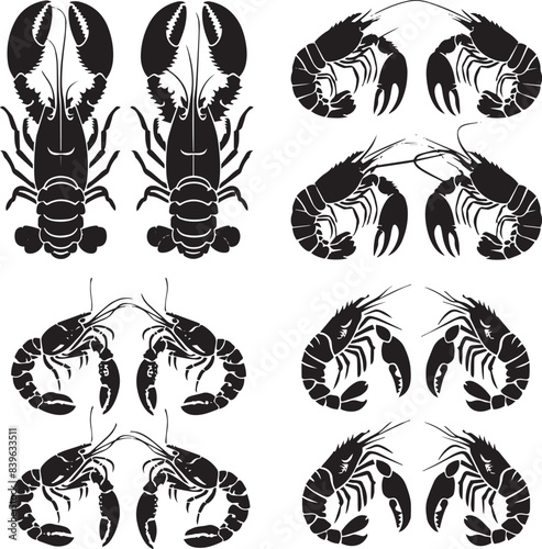Vector illustration of a shrimp, a member of the Caridea order, depicted in a scratchboard style. This hand-drawn image captures the intricate details of the shrimp's anatomy