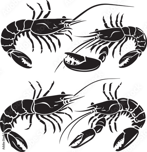 Vector illustration of a shrimp, a member of the Caridea order, depicted in a scratchboard style. This hand-drawn image captures the intricate details of the shrimp's anatomy