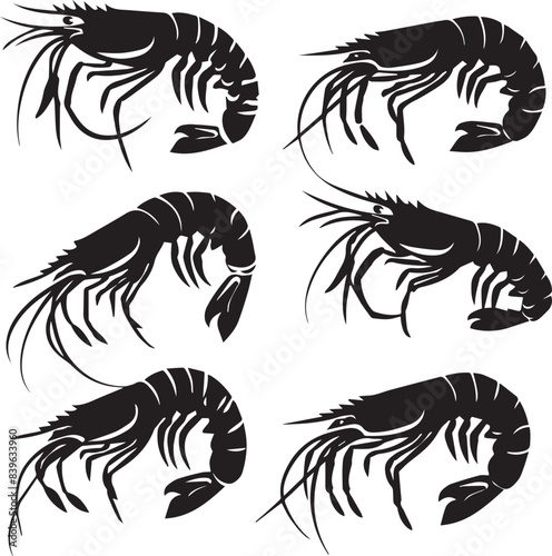 Vector illustration of a shrimp, a member of the Caridea order, depicted in a scratchboard style. This hand-drawn image captures the intricate details of the shrimp's anatomy photo