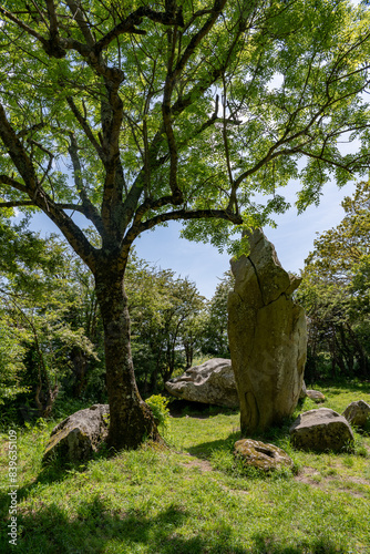 Menhir celte en région Bretagne