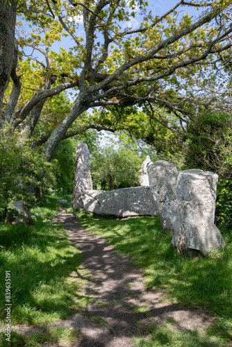 Menhir celte en région Bretagne