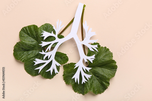 Lungs made of paper and lea...