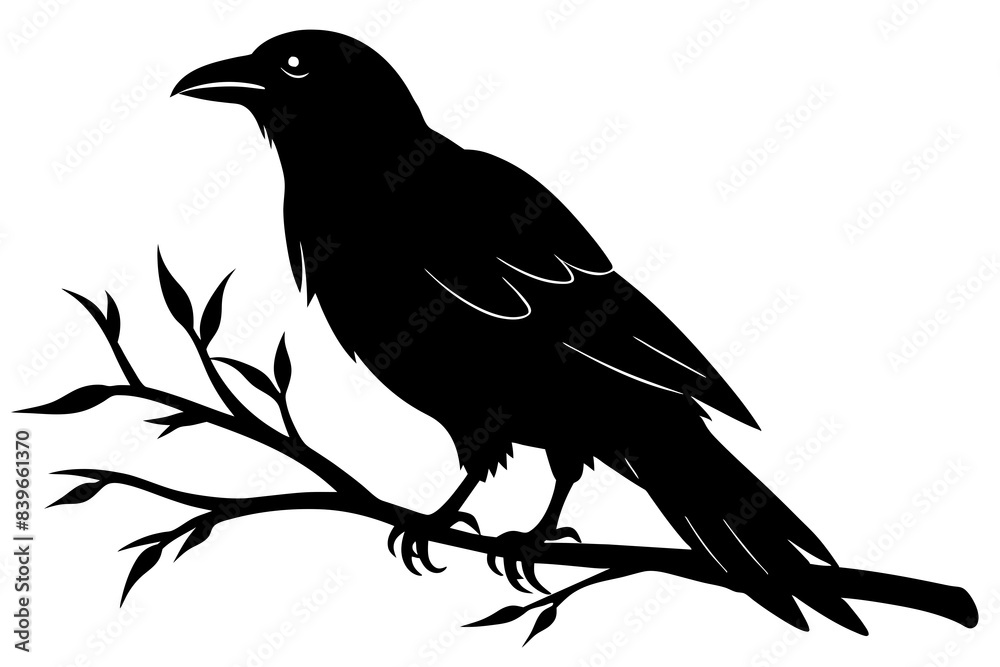 crow bird silhouette vector illustration crow bird silhouette vector illustration
