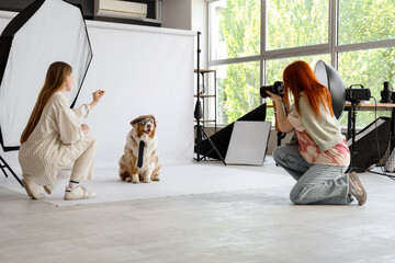 Female photographer with her assistant taking picture of funny Australian Shepherd dog in studio