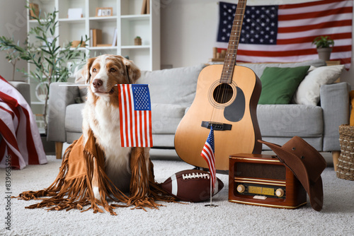 Cute Australian Shepherd dog with USA flags, guitar, rugby ball and radio receiver at home photo