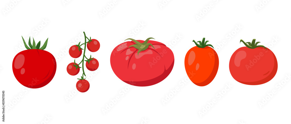 Set of Fresh tomatoes. Red, Cherry, Plum and large pink farm tomatoes plant icons. Organic vegetables vegetarian food. Vector illustration isolated on white background. Set of Fresh tomatoes. Red, Cherry, Plum and large pink farm tomatoes plant icons. Organic vegetables vegetarian food. Vector illustration isolated on white background.