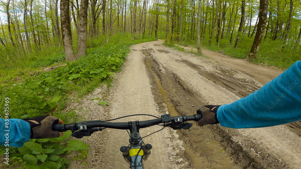 First-person view of a cyclist riding along a muddy forest path. The cyclist's gloved hands are gripping the handlebars of the bike. The uneven terrain and dense undergrowth add to the thrill. First-person view of a cyclist riding along a muddy forest path. The cyclist's gloved hands are gripping the handlebars of the bike. The uneven terrain and dense undergrowth add to the thrill.