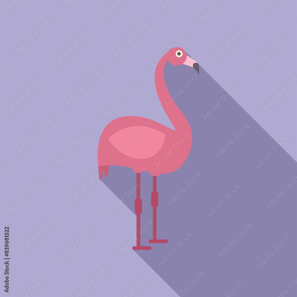 Fototapeta premium Pink flamingo standing on its long legs