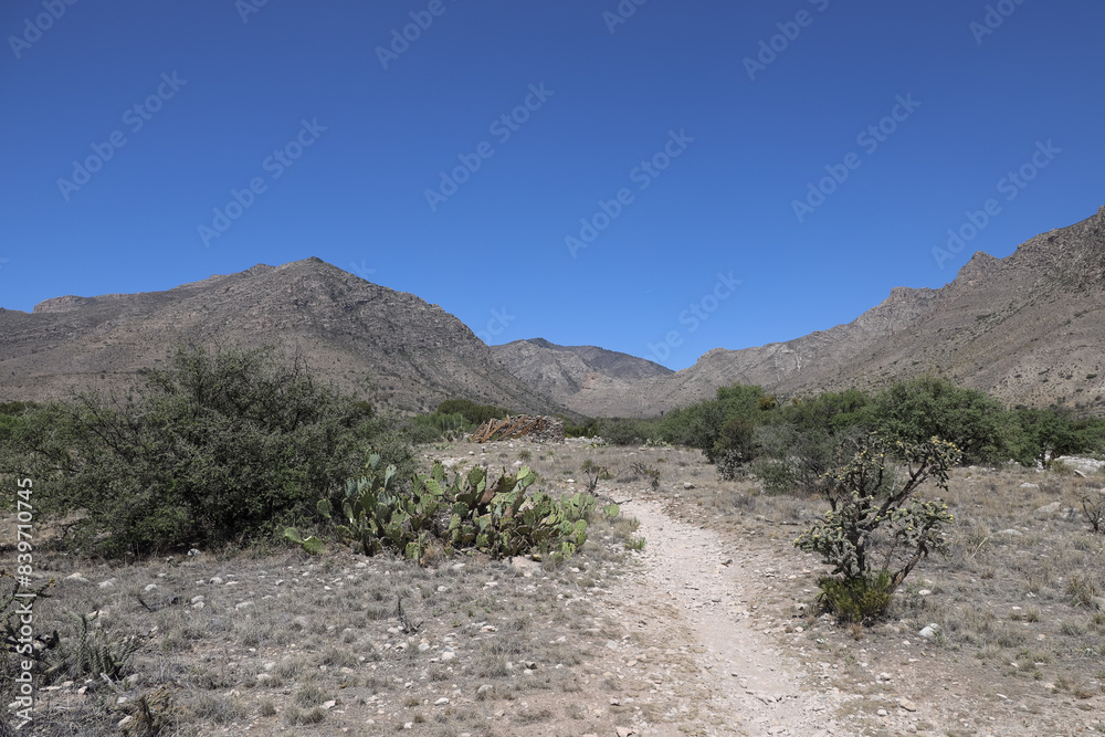 Hiking trail at Guadalupe Mountains National Park, Texas