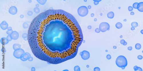Foto Liposome cross-section with liquid or cytoplasm enclosed by a lipid bilayer