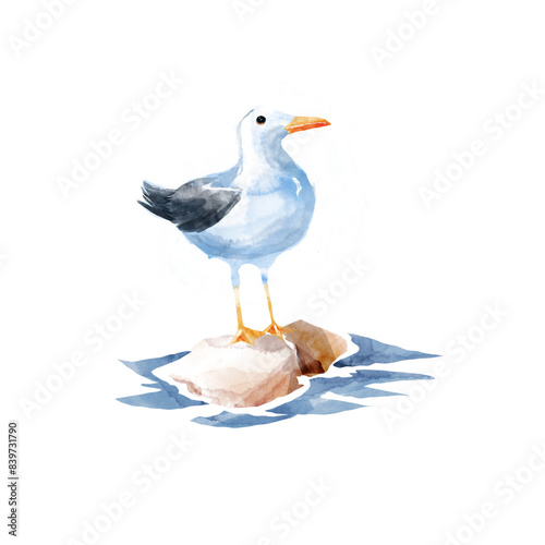 Seagull is sitting on a stone, a cute watercolor children's illustration on transparent background. photo