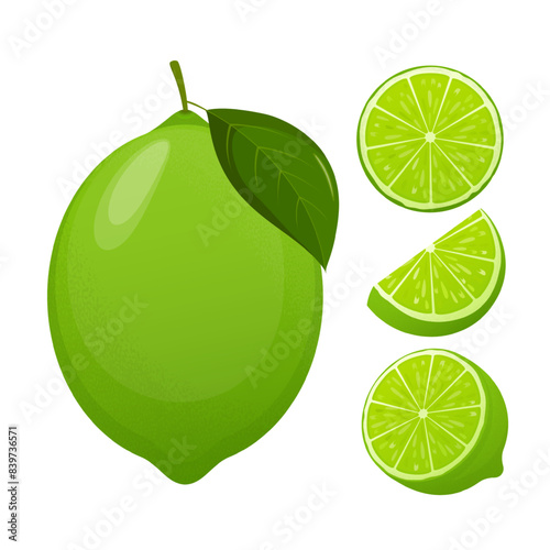 Fresh lime set, with various view of whole lime fruit, halves and slices.