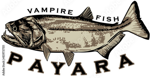 PAYARA VAMPIRE FISH