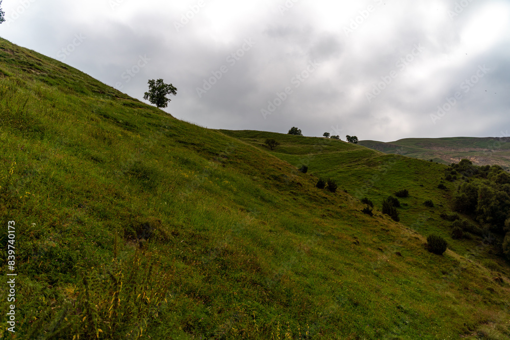 Fototapeta premium Caucasian mountain. Dagestan. Trees, rocks, mountains, view of the green mountains. Beautiful summer landscape.
