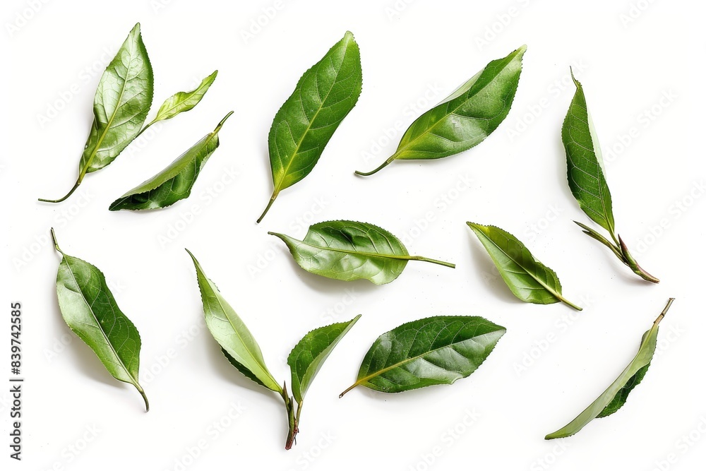 Tea leaves on white surface from above Tea leaves on white surface from above