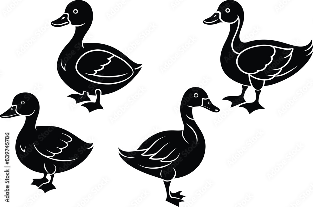 set of ducks illustration eps 10 set of ducks illustration eps 10