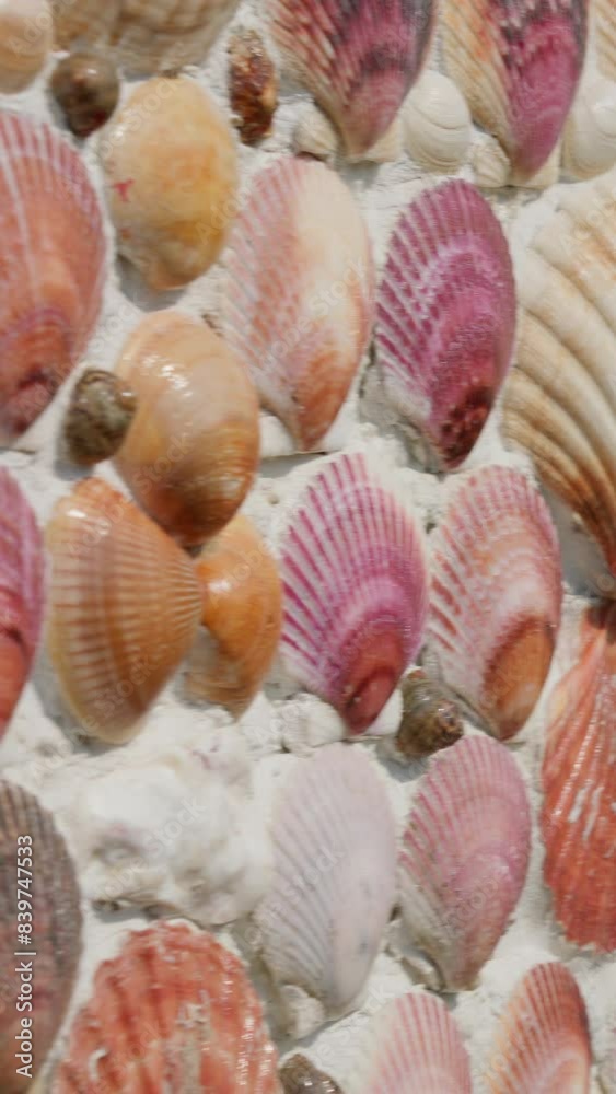 artistic background wall built with shells from the beach in a tourist fishing village in northern Spain, vertical shot artistic background wall built with shells from the beach in a tourist fishing village in northern Spain, vertical shot