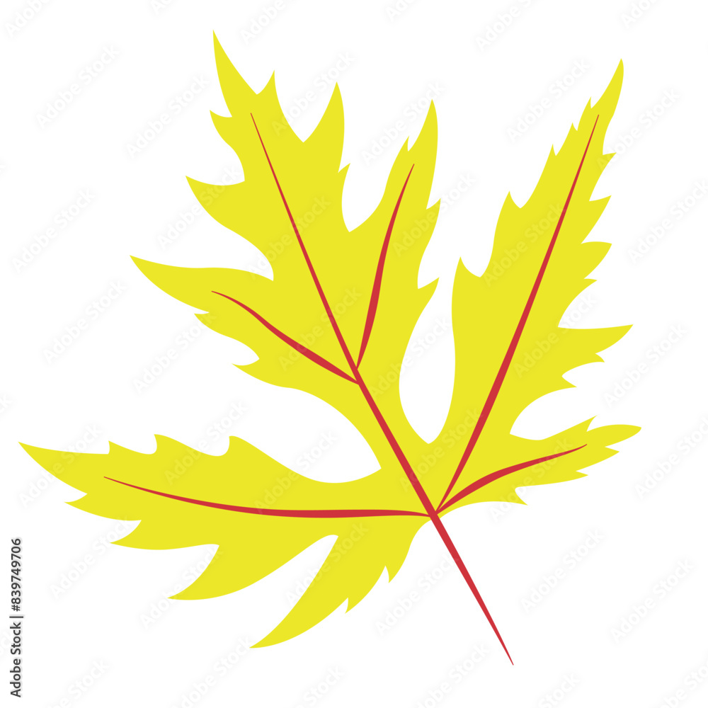 Fototapeta premium Autumn Leaves