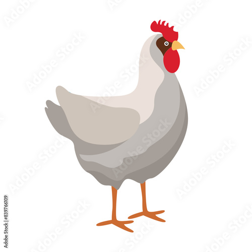 hen