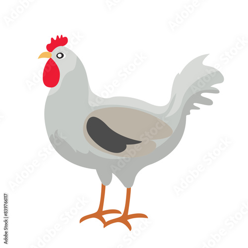 illustration of a chicken