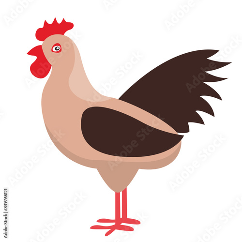 illustration of a chicken