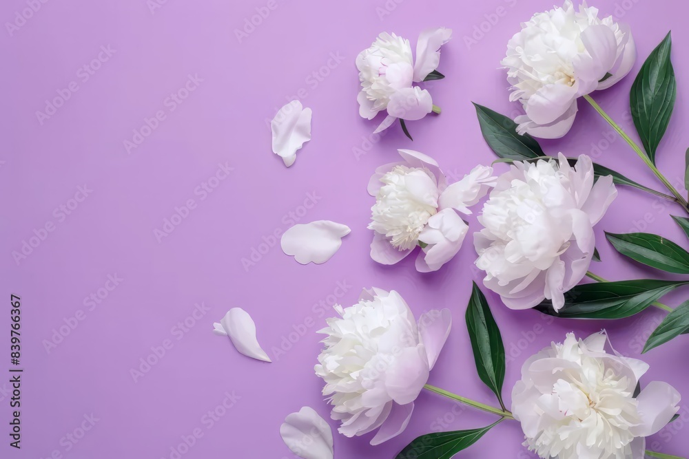 Fototapeta premium Floral frame with white peonies on beige stone background for wedding, Mothers day, Womans day card. Flower composition with place for text, copy space. Flat lay, top view