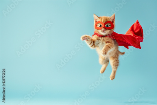 gattino rosso che salta vestito da supereroe con mascherina e mantello rosso su sfondo azzurro © SC studio