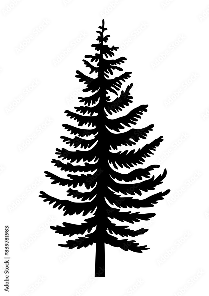 Pine, illustration of a christmas tree Pine, illustration of a christmas tree