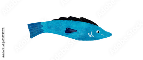 Photography Single blue fish isolated on white background