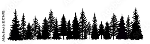 Forest, pine forest silhouette, spruce, tree, nature