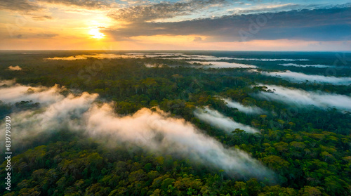 Preserva    o Ambiental  Vista A  rea de uma Floresta Tropical