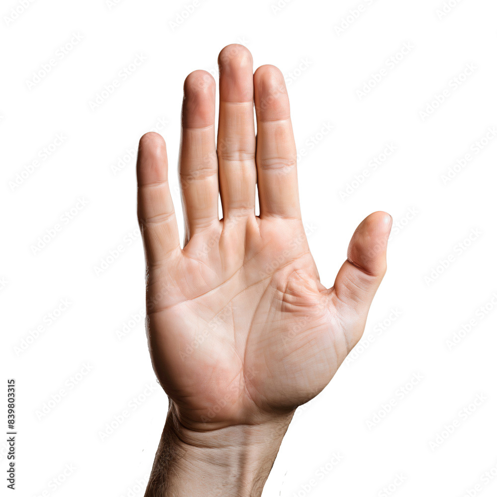 Raised opened hand or male palm, isolated on transparent background Raised opened hand or male palm, isolated on transparent background