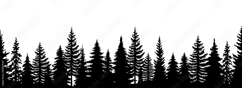 Fototapeta premium Forest silhouette