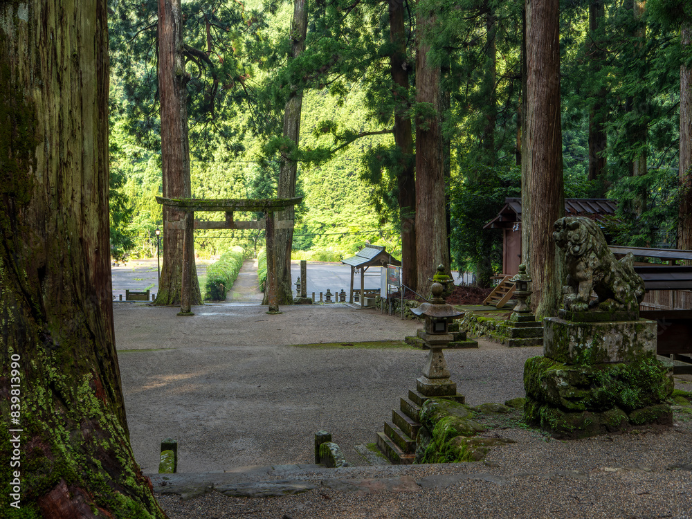 大きな木が建ち並ぶ室生龍穴神社の境内