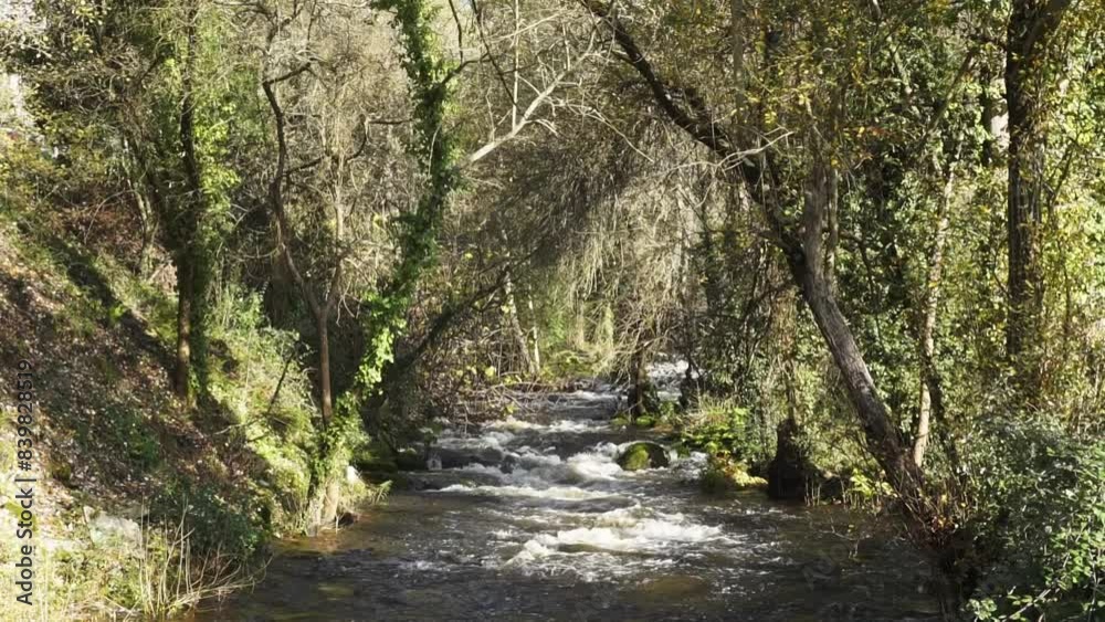 A river that glides quickly between the trees that accompany its course A river that glides quickly between the trees that accompany its course