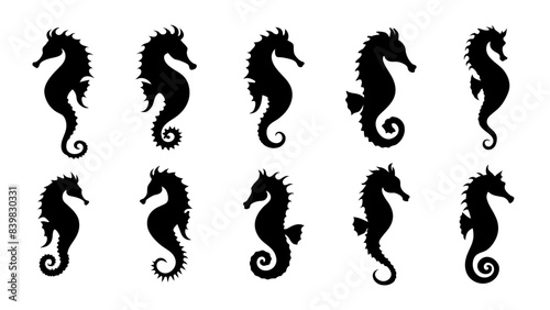 set of seahorse silhouette vector design